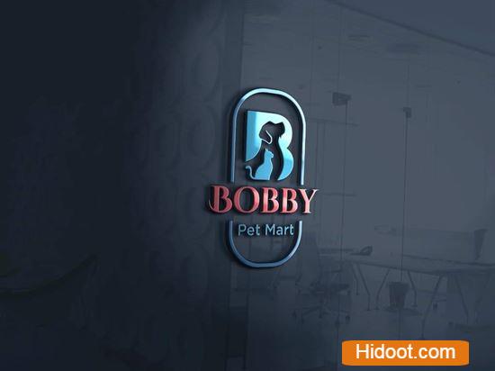 bobby pet mart pets and pet accessories agatavapadu in guntur - Photo No.4