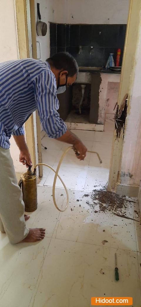 pest control of hyderabad near madhapur in hyderabad - Photo No.6