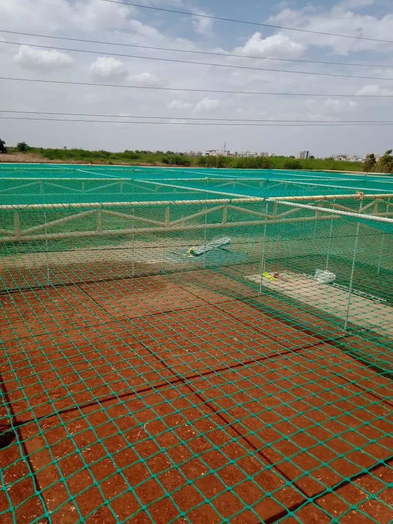 kishore safety nets manikonda in hyderabad - Photo No.4