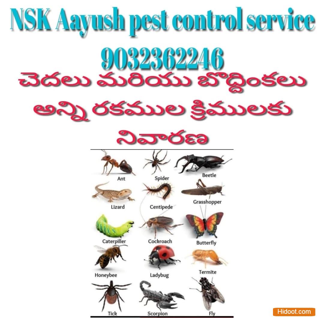 nsk aayush pest control services amberpet in hyderabad - Photo No.3