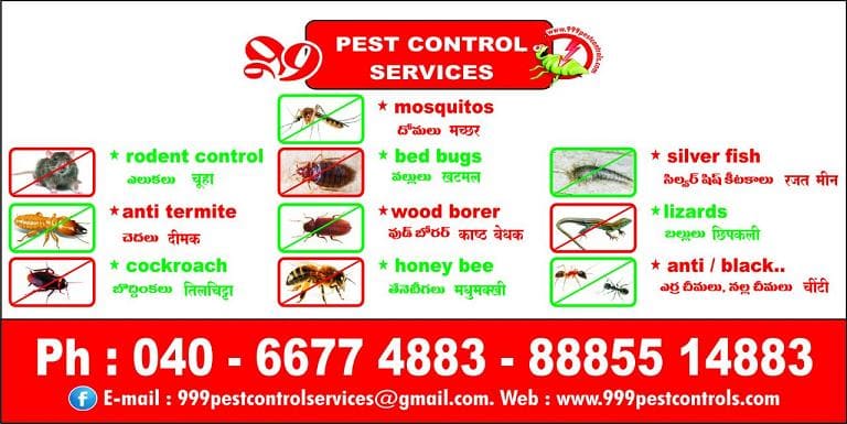 999 pest control services near basheerbagh in hyderabad - Photo No.11