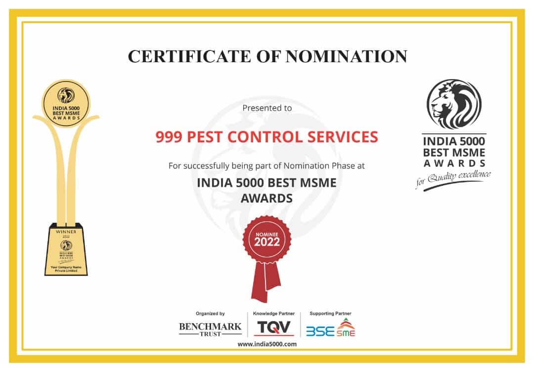 999 pest control services near basheerbagh in hyderabad - Photo No.10