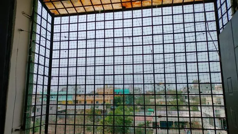 anji pigeon safety nets kokapeta in hyderabad - Photo No.18