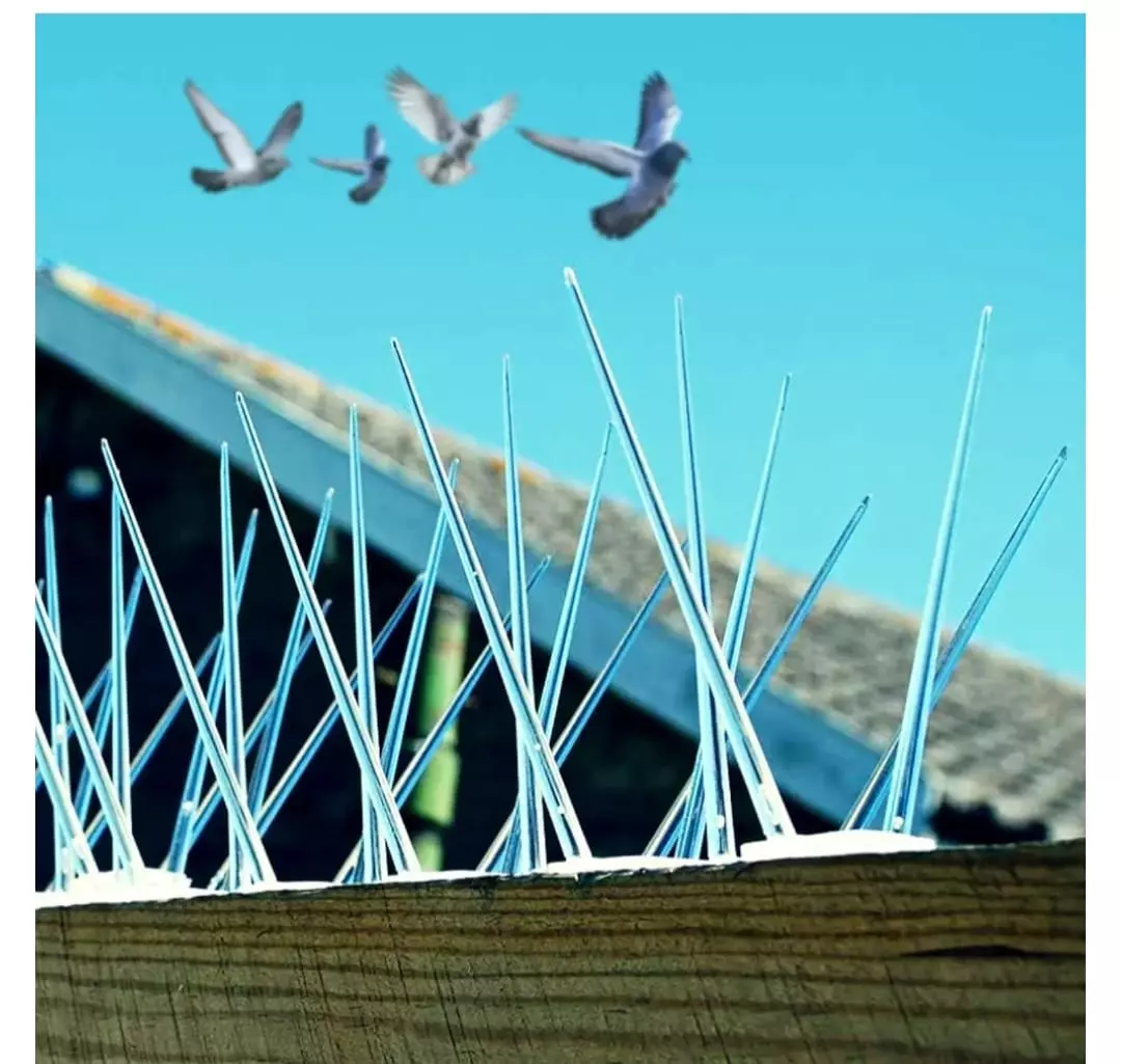 anji pigeon safety nets kokapeta in hyderabad - Photo No.29