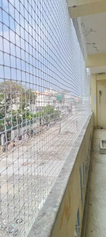 anji pigeon safety nets kokapeta in hyderabad - Photo No.8