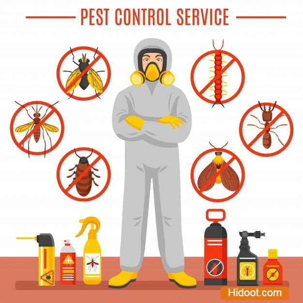 jai durga pest i care control pest control services near chilkalguda in hyderabad telangana - Photo No.1