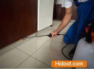 hi tech pest control services near manikonda in hyderabad telangana - Photo No.4