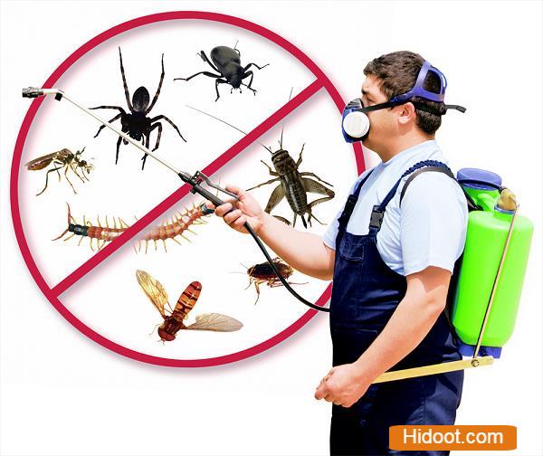 termite pest control service miyapur in hyderabad - Photo No.2