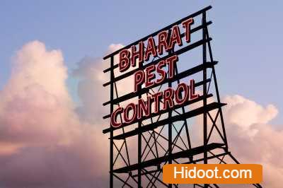 bharat pest control services bhanugudi junction in kakinada andhra pradesh - Photo No.6