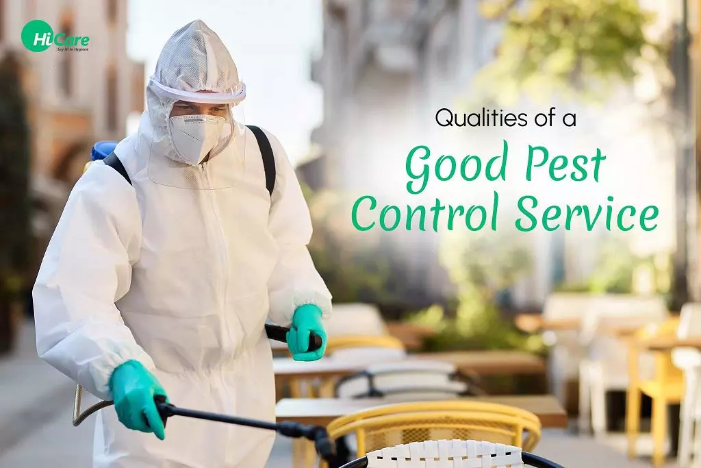 ss pest control services ram nagar in karimnagar - Photo No.6