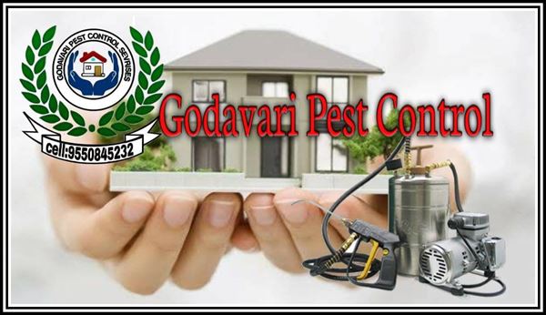 godavari pest control services church compound in khammam - Photo No.1