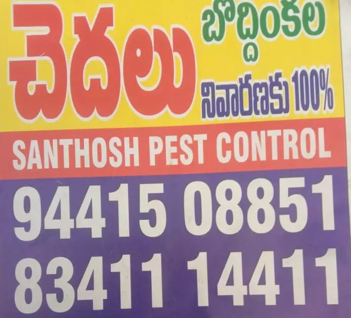 santhosh pest control sriram nagar in kurnool - Photo No.0