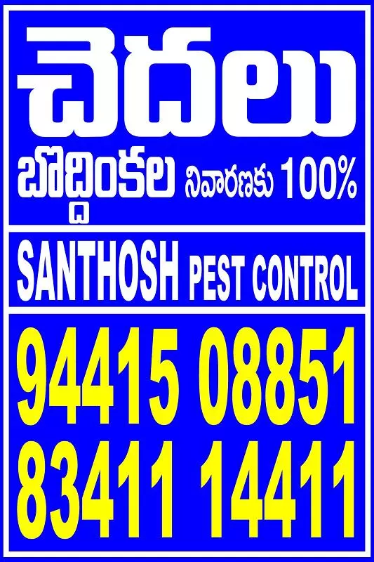 santhosh pest control sriram nagar in kurnool - Photo No.1