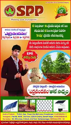 kvr consultancy banagana palli in nandyal - Photo No.5