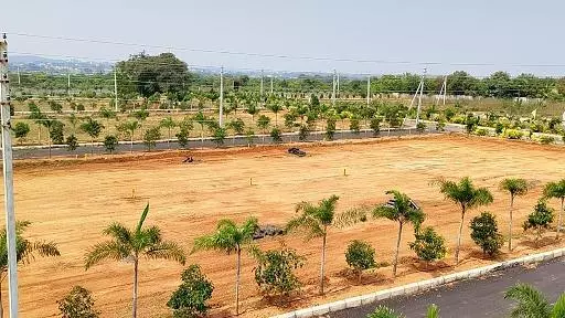 kvr consultancy banagana palli in nandyal - Photo No.2