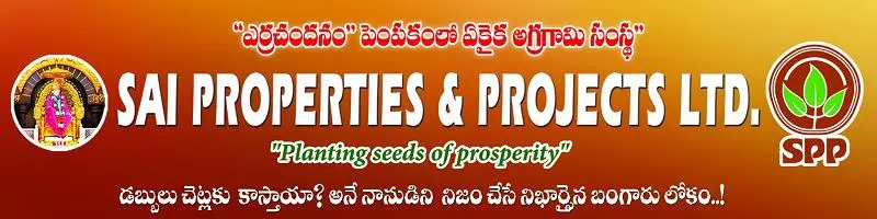 kvr consultancy banagana palli in nandyal - Photo No.0