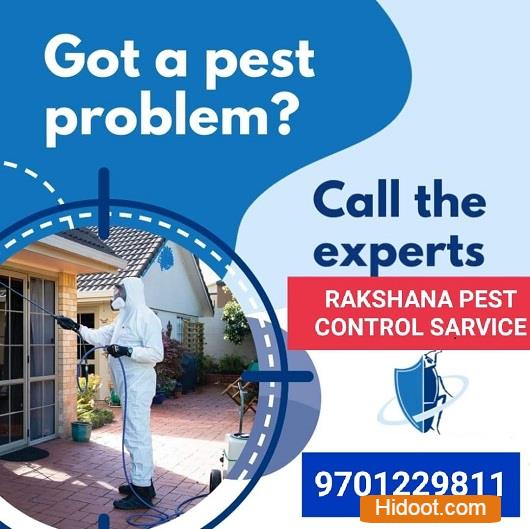 rakshana pest control services near bank colony in nizamabad - Photo No.12