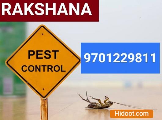 rakshana pest control services near bank colony in nizamabad - Photo No.10