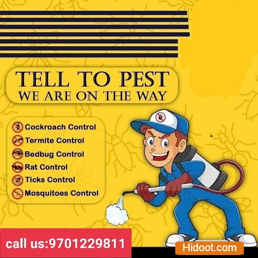 rakshana pest control services near bank colony in nizamabad - Photo No.4