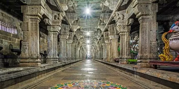 leepsika tours and travels nandi circle in tirupati - Photo No.44