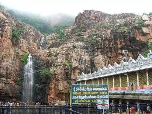 leepsika tours and travels nandi circle in tirupati - Photo No.18