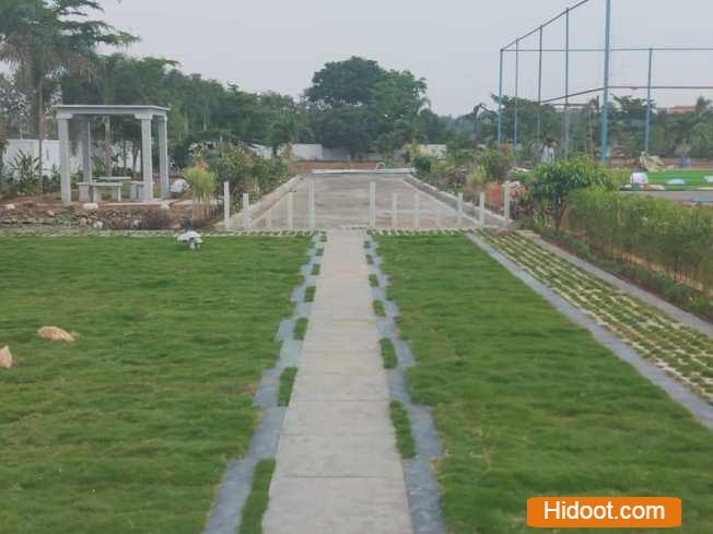 standard plant shopee landscaping gardening iti college in vijayawada andhra pradesh - Photo No.8