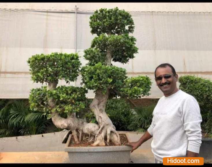 Photos Vijayawada 22102021013125 standard plant shopee landscaping gardening iti college in vijayawada andhra pradesh