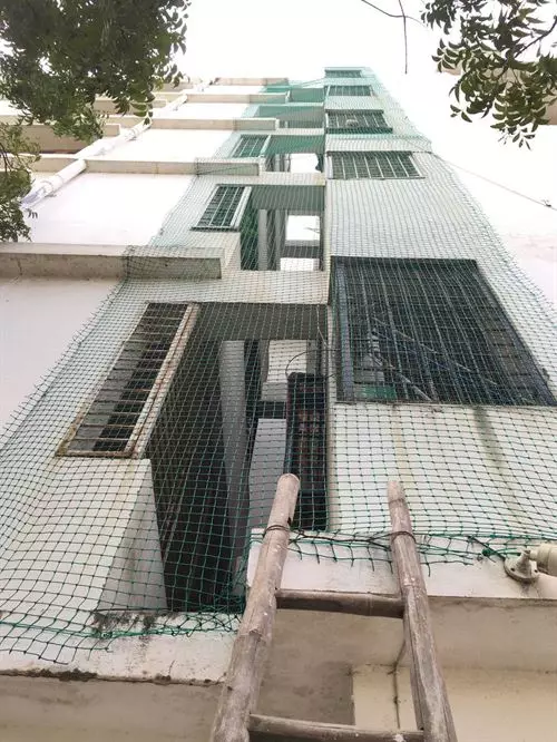 ms pigeon safety nets benz circle in vijayawada - Photo No.0