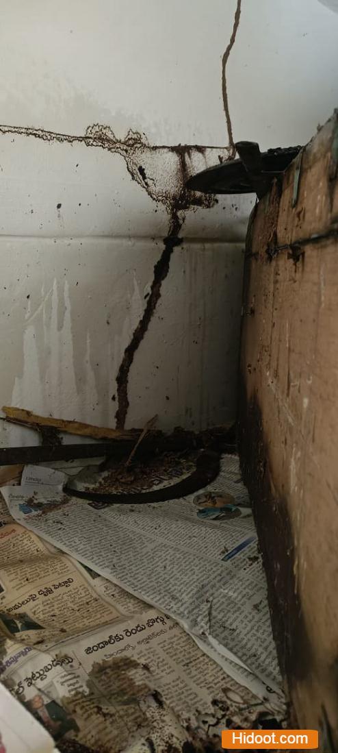 a1 pest control services near sri nagar in visakhapatnam - Photo No.5