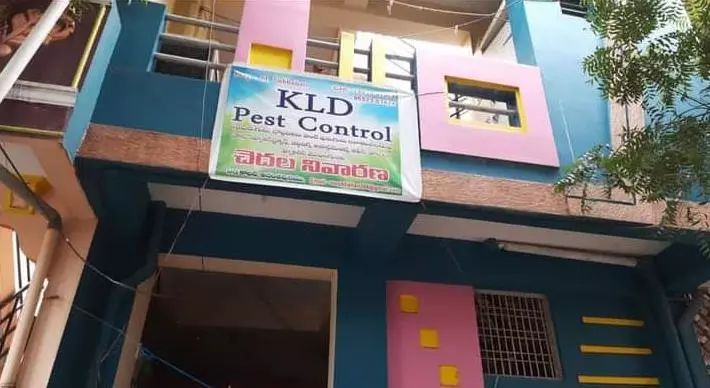 kld pest control in anantapur andhra pradesh - Photo No.1