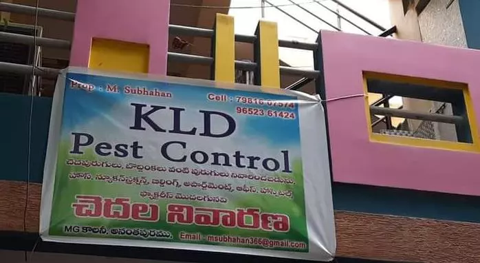 kld pest control in anantapur andhra pradesh - Photo No.2