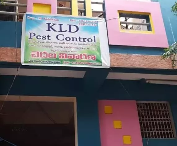 kld pest control in anantapur andhra pradesh - Photo No.3