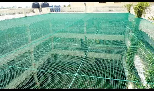 jdp pigeon safety nets vaderahalli in bengaluru - Photo No.0