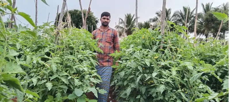 sri venkateswara nursery punganur in chittoor ap - Photo No.1