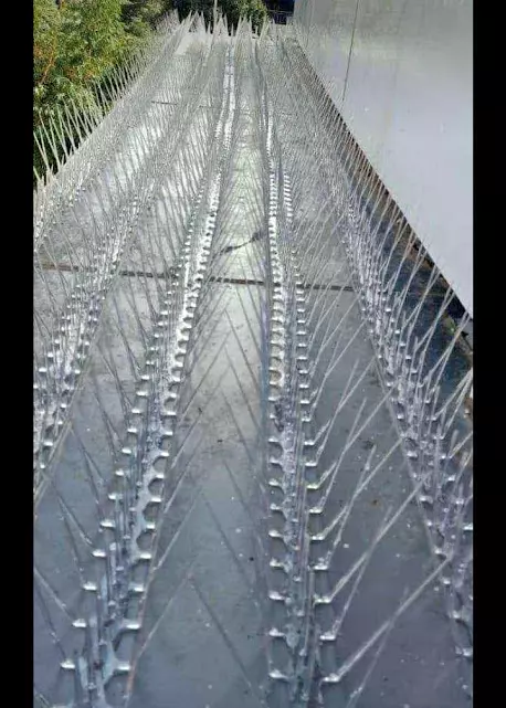varahi safety nets karmanghat in hyderabad - Photo No.11