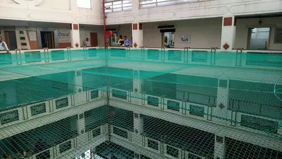 varahi safety nets karmanghat in hyderabad - Photo No.1