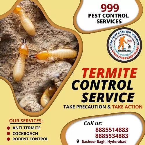 999 pest control services near basheerbagh in hyderabad - Photo No.2