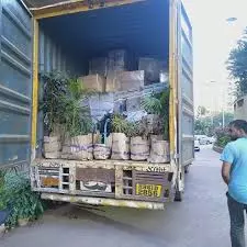 divya sree packers and movers bus stand in khammam - Photo No.2