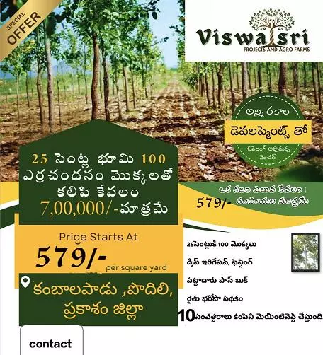 viswasri projects and agro farms pvt ltd moghalarajpuram in vijayawada - Photo No.7