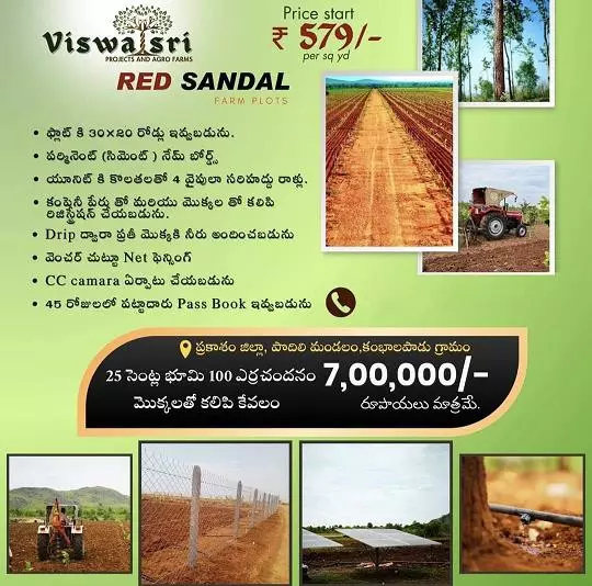 viswasri projects and agro farms pvt ltd moghalarajpuram in vijayawada - Photo No.6