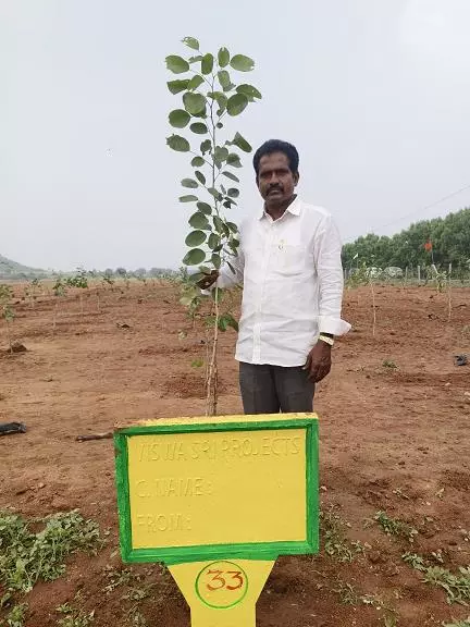 viswasri projects and agro farms pvt ltd moghalarajpuram in vijayawada - Photo No.5