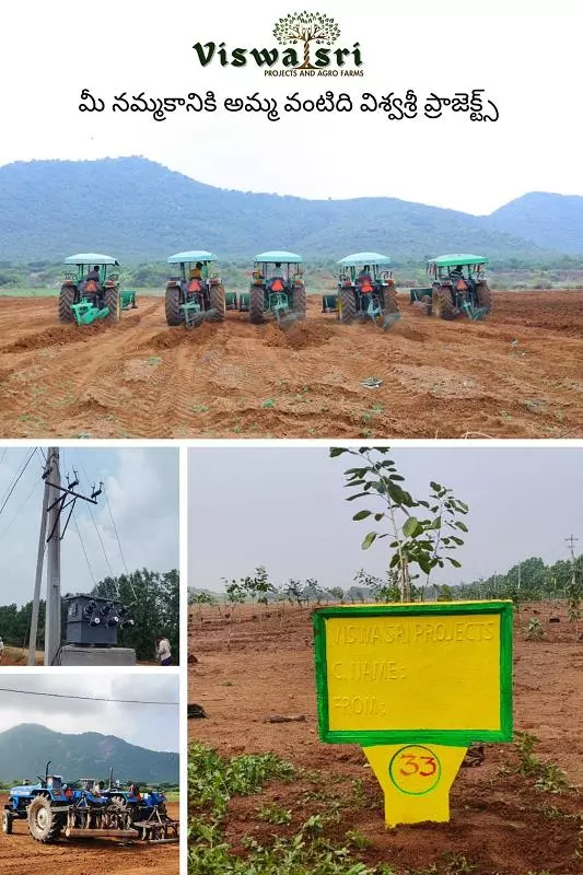 viswasri projects and agro farms pvt ltd moghalarajpuram in vijayawada - Photo No.4