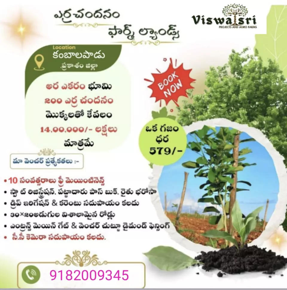 viswasri projects and agro farms pvt ltd moghalarajpuram in vijayawada - Photo No.11