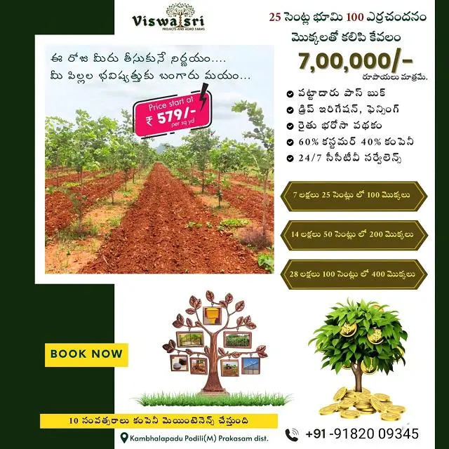 Photos vijayawada 622025071745 viswasri projects and agro farms pvt ltd moghalarajpuram in vijayawada 1.webp