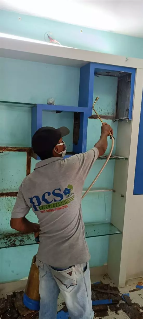 pcs enterprises pest control services mvp colony in visakhapatnam vizag - Photo No.27