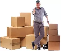 mahindra packers and movers eluru in west godavari - Photo No.5