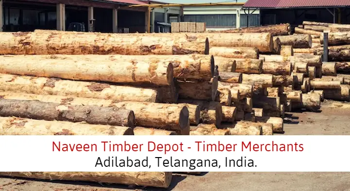 Naveen Timber Depot in Gandhi Nagar