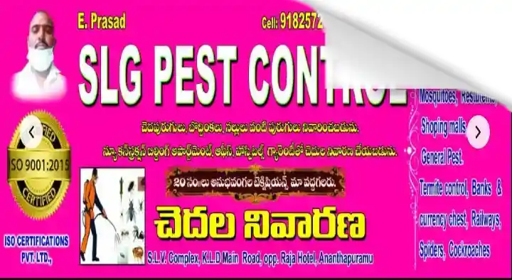 SLG Pest Control Services in KLD Road
