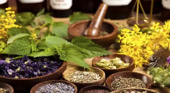 Dr Jamruddin Homoeo Clinic in Surya Nagar