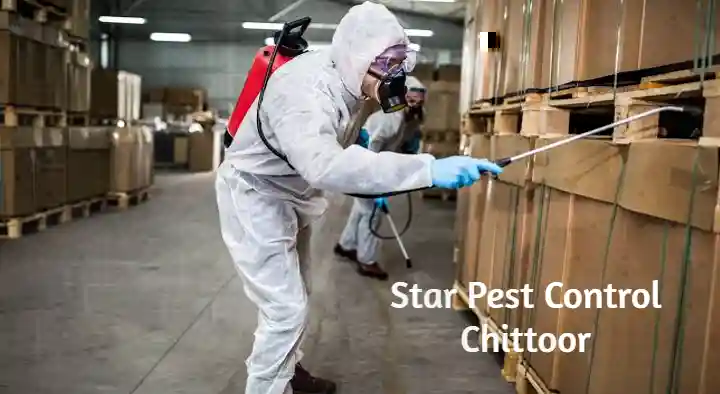Star Pest Control in Venkateswara Colony